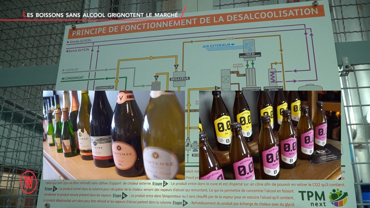 Waldorado Dossier 151 LE BUSINESS DES BOISSONS SANS ALCOOL