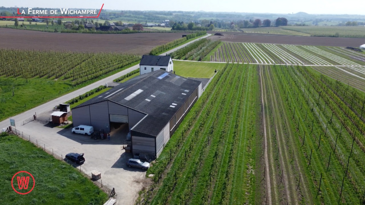 Waldorado LA FERME DE WICHAMPRE