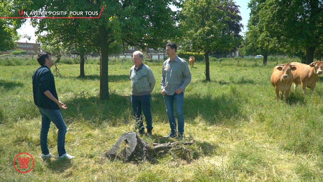 Waldorado Visite 131 LA FERME A L'ARBRE DE LIEGE