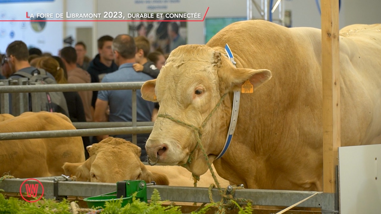 Waldorado Dossier 134 L'AGRICULTURE WALLONNE DE DEMAIN