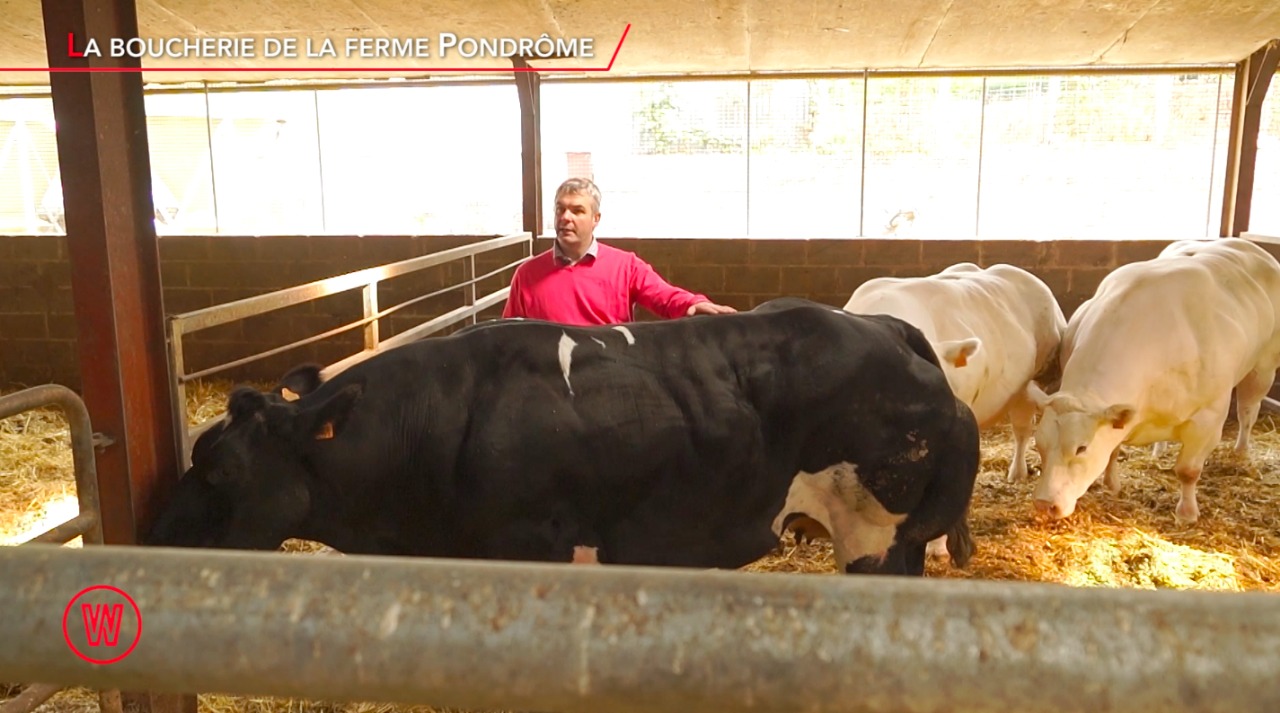 Waldorado Portrait 051 LA BOUCHERIE DE LA FERME DU PONDRÔME